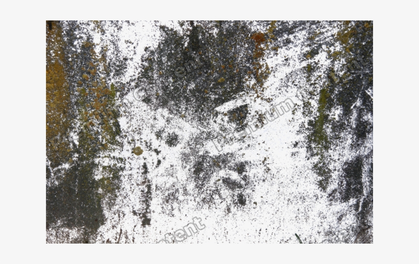 Dirty Decals - Artist, transparent png