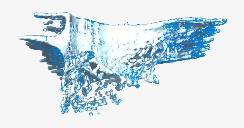 06 Feb 2009 - Illustration, transparent png