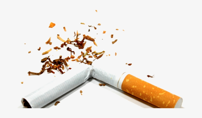 No Ifs, And Or Butts - Broken Cigarette, transparent png