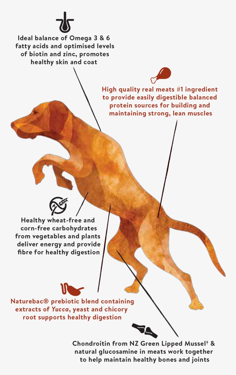Not Contained In Single Meat Protein Range - Dog, transparent png