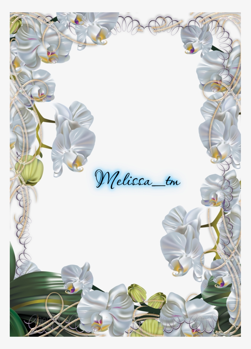 Browsing Manga Anime On Deviantart - Frame Flowers Orchid White, transparent png