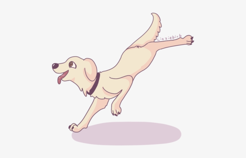 Dog Catches Something, transparent png