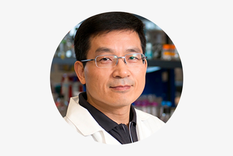 Shawn Li - Senior Citizen, transparent png
