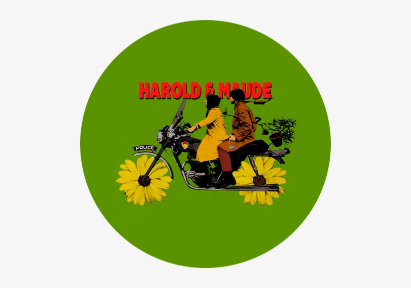 Tuesday, April 9, - Harold Et Maude, transparent png
