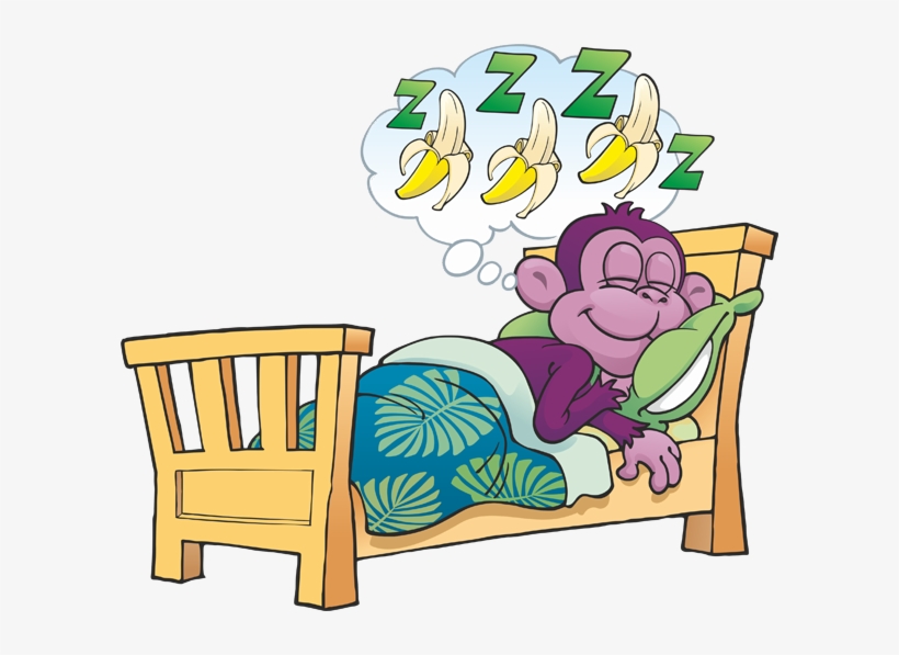 Purple Monkey Hostel, transparent png