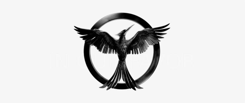 ''hope Is The Only Thing Stronger Than Fear''im A Brazilian - Hunger Games White Background, transparent png