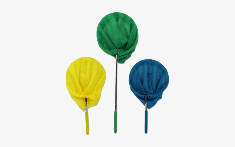 Rose, transparent png