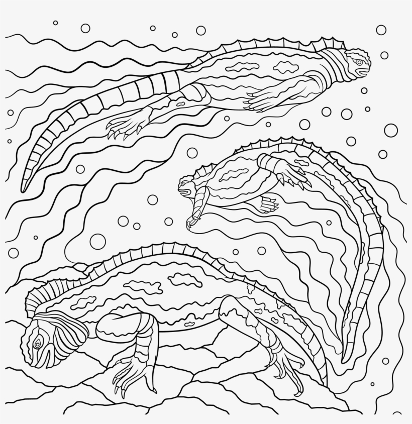 "sea Iguana" 1 Of 60 Pages - Book, transparent png