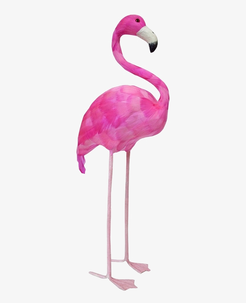 Flamingo Png Image - Flamingo Props, transparent png