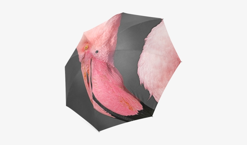 Pink Flamingo Head Foldable Umbrella - Umbrella, transparent png