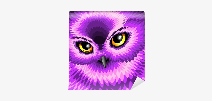 Pink Owl Eyes Throw Blanket, transparent png
