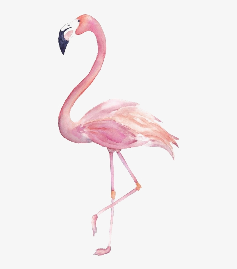 Flamingo Png Image Transparent - Flamingo Clipart Watercolor, transparent png