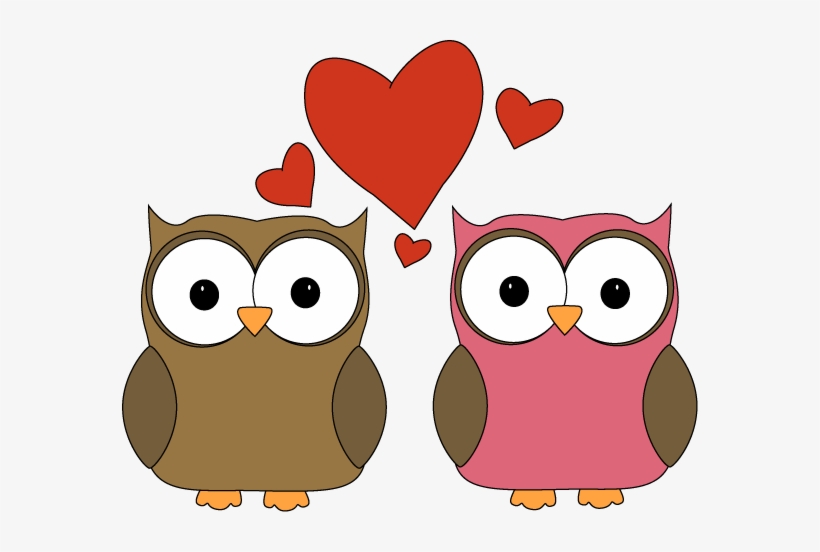 Owl - Love?, transparent png