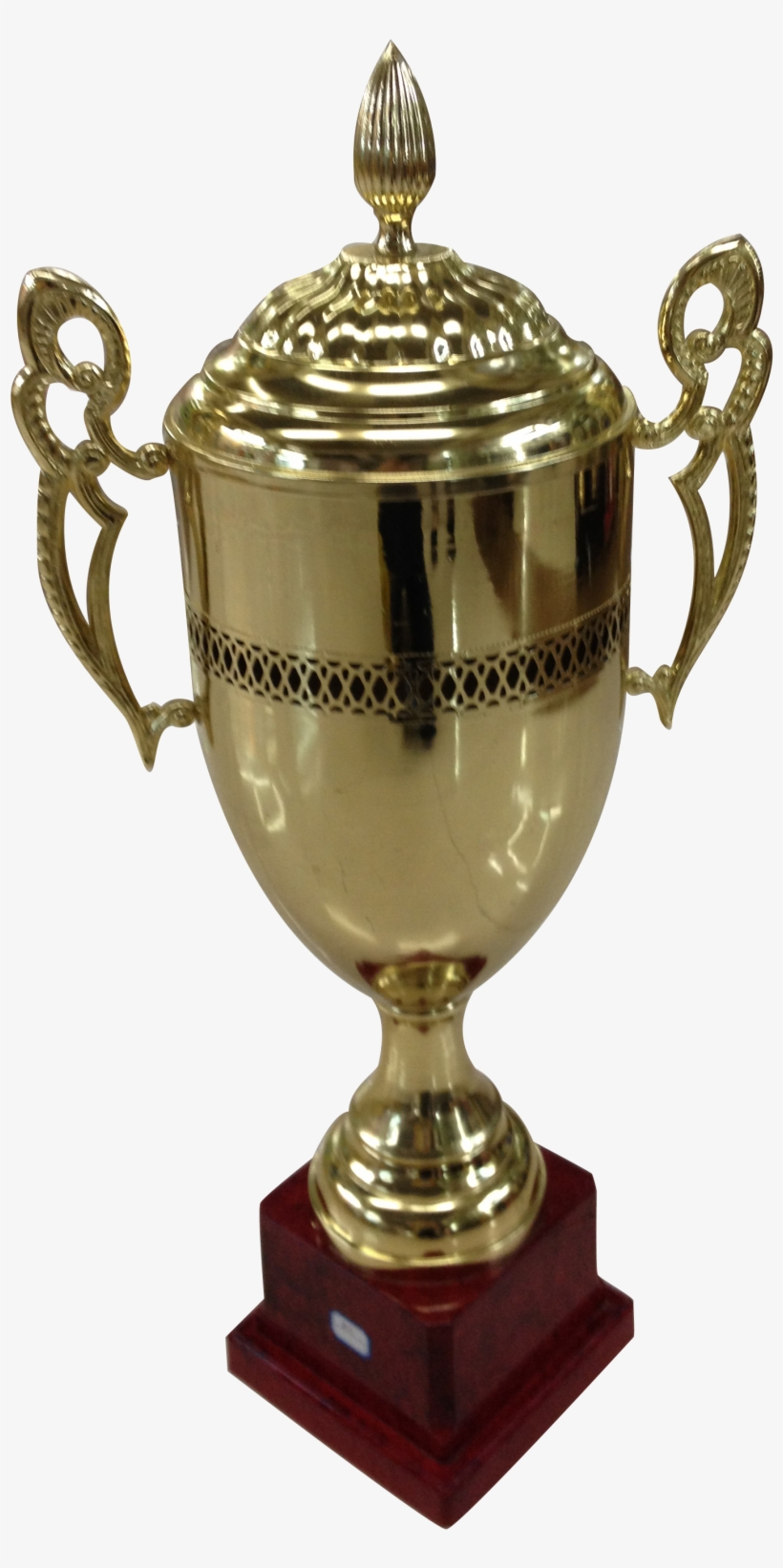 Trophy 2010 - 60 Cm - Veto Sports, transparent png