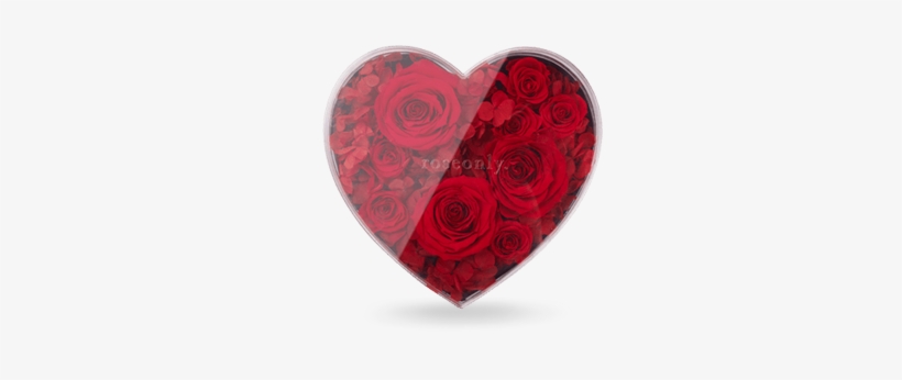 Classic Rose Heart - Flower Preservation, transparent png