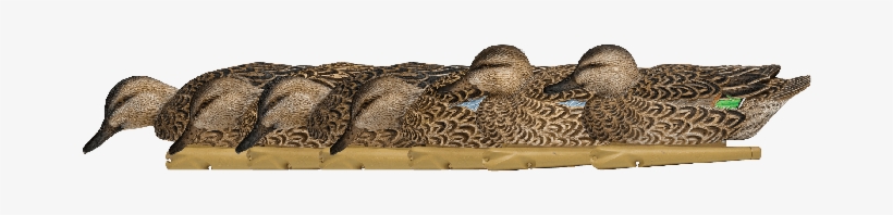 Premium Decoys - Duck Decoy, transparent png