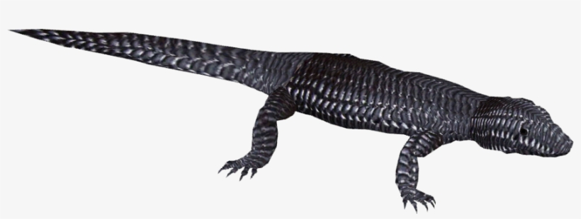 Blue-tongue Skink 3 - Komodo Dragon, transparent png