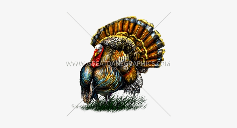 Big Turkey - Thanksgiving, transparent png