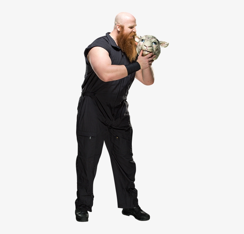 Pin By Csoerk Wwe On Wwe - Wwe Erick Rowan 2015, transparent png