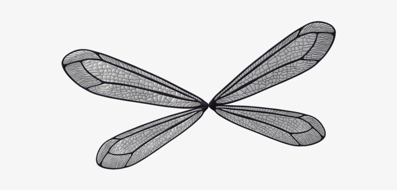 Fairy, transparent png
