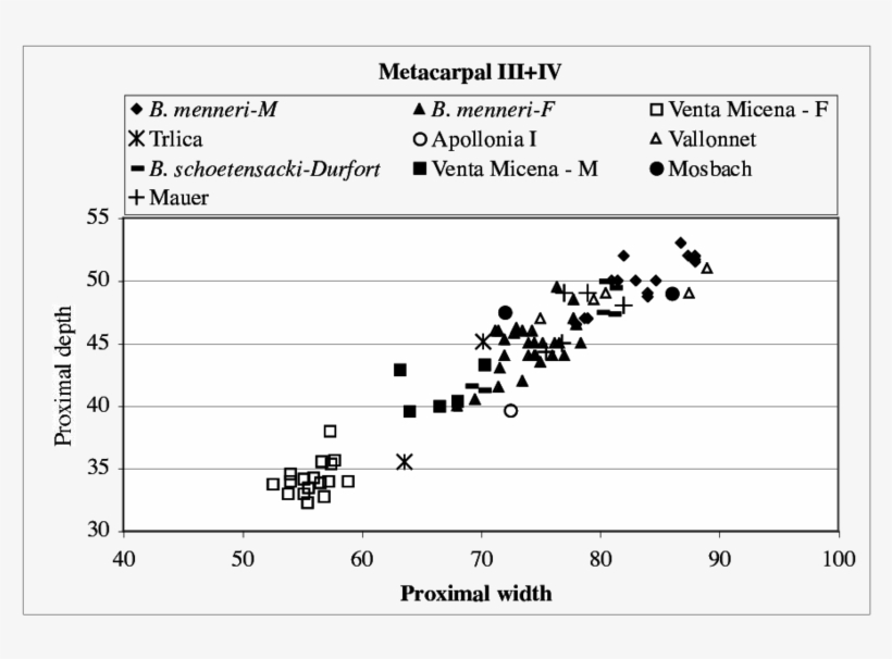 Bison Sp - Diagram, transparent png