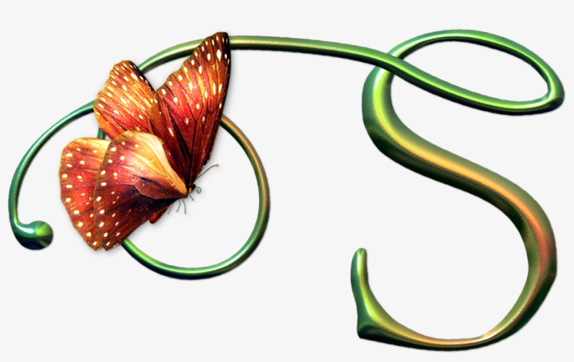Butterfly Psd, transparent png