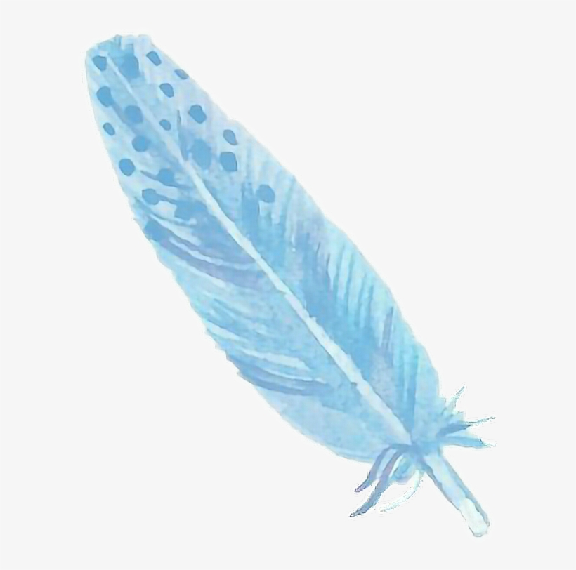 Report Abuse - Earrings Feather Feather - 25, transparent png