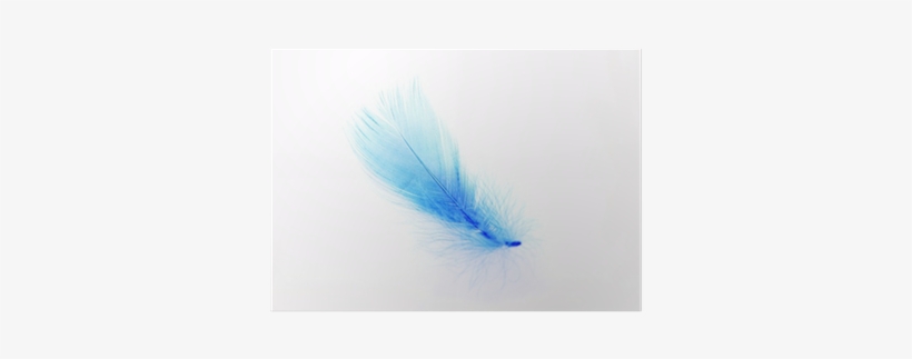Drawing, transparent png