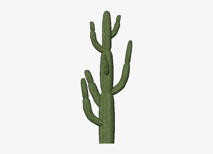 3d Flowers - Giant Saguaro - Software, transparent png