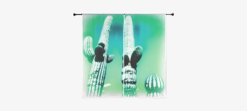 Saguaro Cactus Southwestern Scenery Aqua Curtains - Saguaro-kaktus-trockene Hitze Postkarte, transparent png