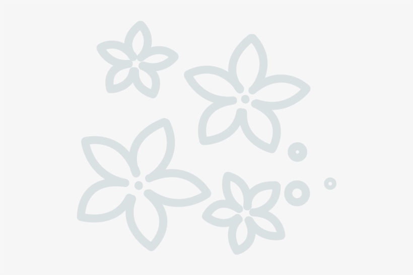Wedding Flowers & Décor Vendors - Jasmine, transparent png