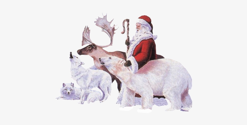 Santa Claus And Animals - .net, transparent png