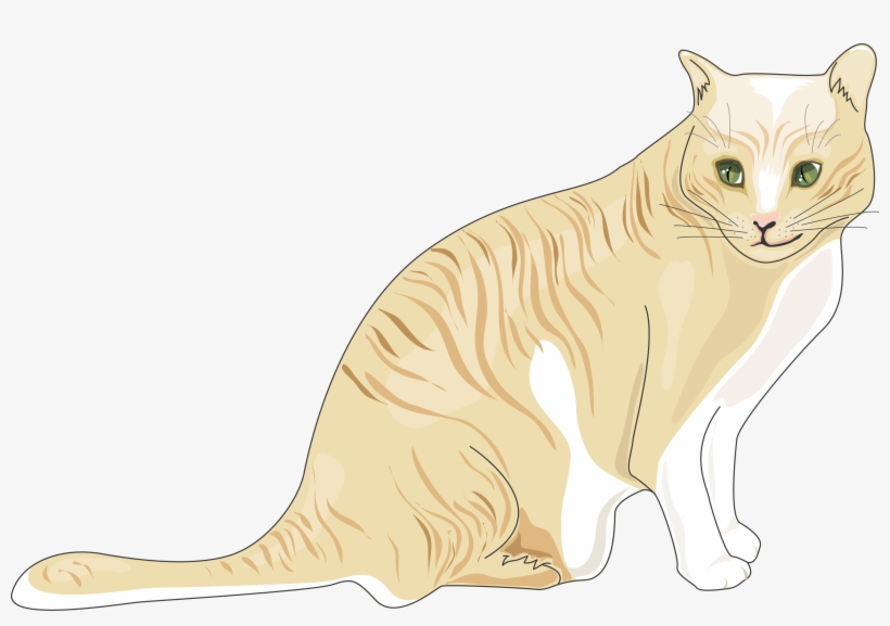 Download The Image - Cat, transparent png