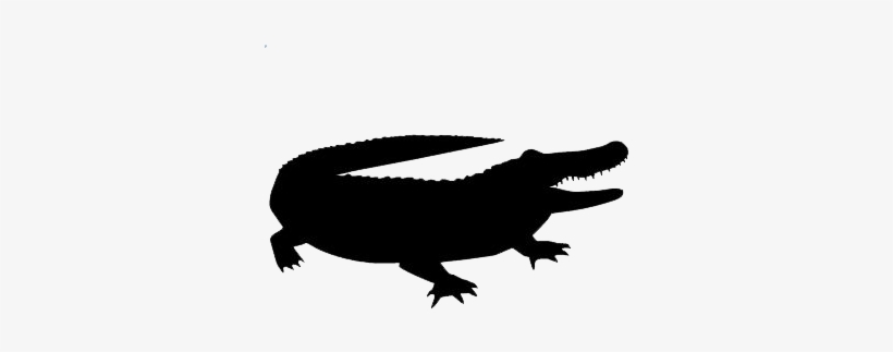Alligator Vector Silhouette Transparent Alligator Silhouette 500x350 Png Download Pngkit