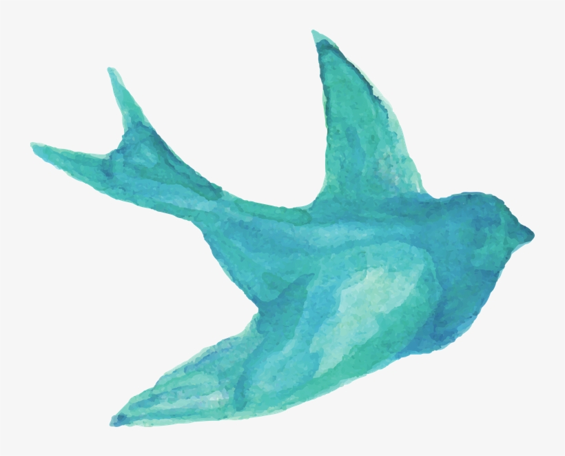 Experts With A Passion - Saint-chinian, transparent png