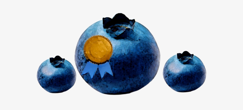 Blueberry - Jpeg, transparent png