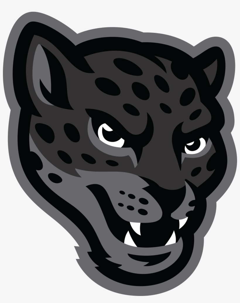Png - Texas A&m San Antonio Jaguars, transparent png