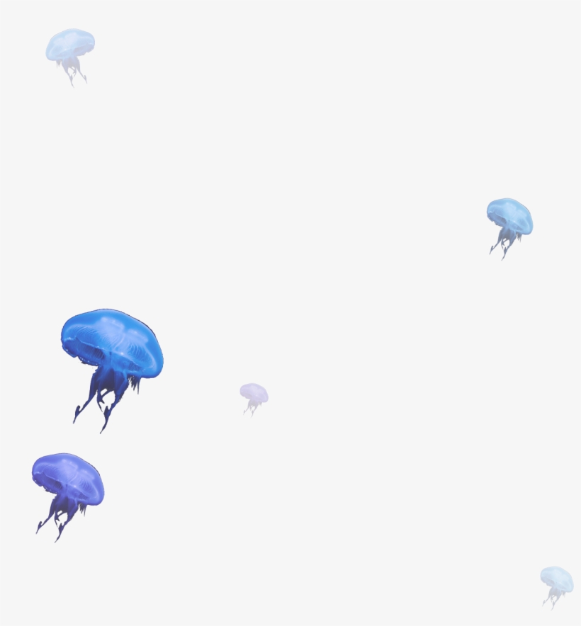 Jellyfish - Parachuting, transparent png