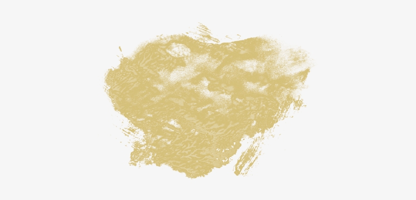 The Fascinating Story Of A Feminine Trip - Sketch, transparent png
