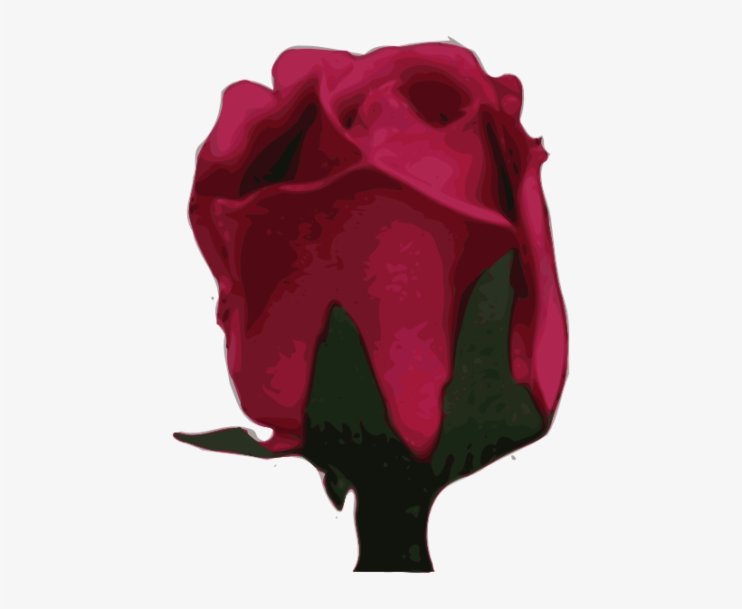 How To Set Use Blurred Pink Rose Clipart, transparent png