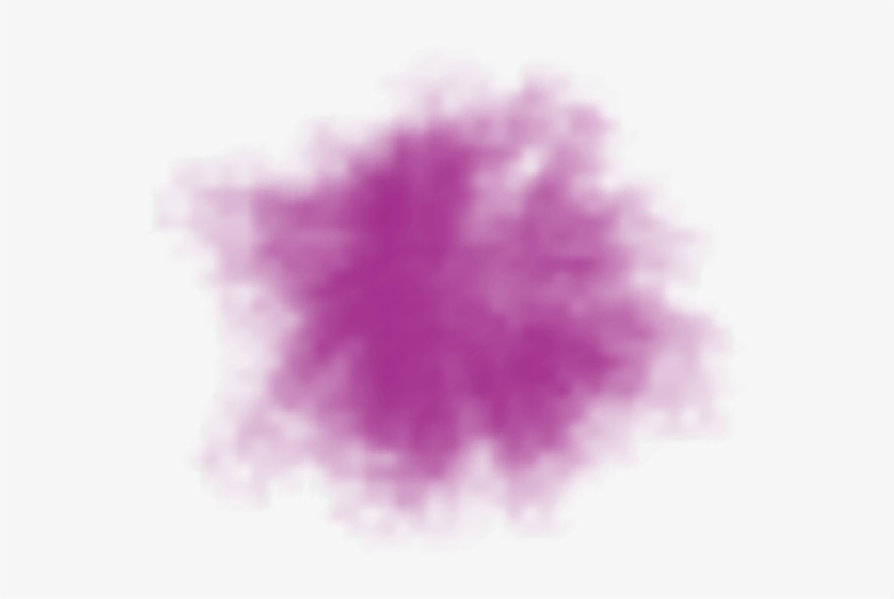 Celebrating The Beauty Of Diversity And The Uniqueness - Flower, transparent png