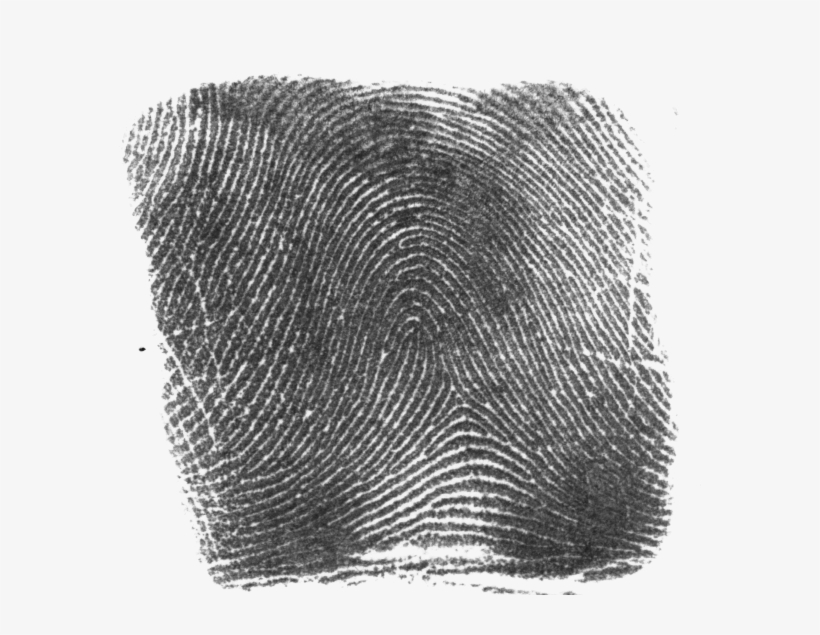 Rolled Fingerprint - Ink Fingerprint, transparent png