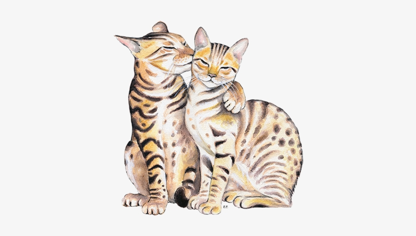 Gallery Wrap, transparent png