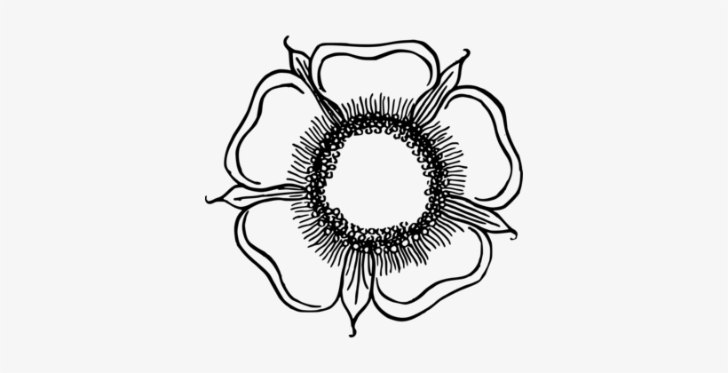 Flower Drawing Line Art Eye Circle - Clip Art, transparent png
