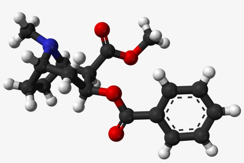 Cocaine From Xtal 3d Balls - Molecule, transparent png