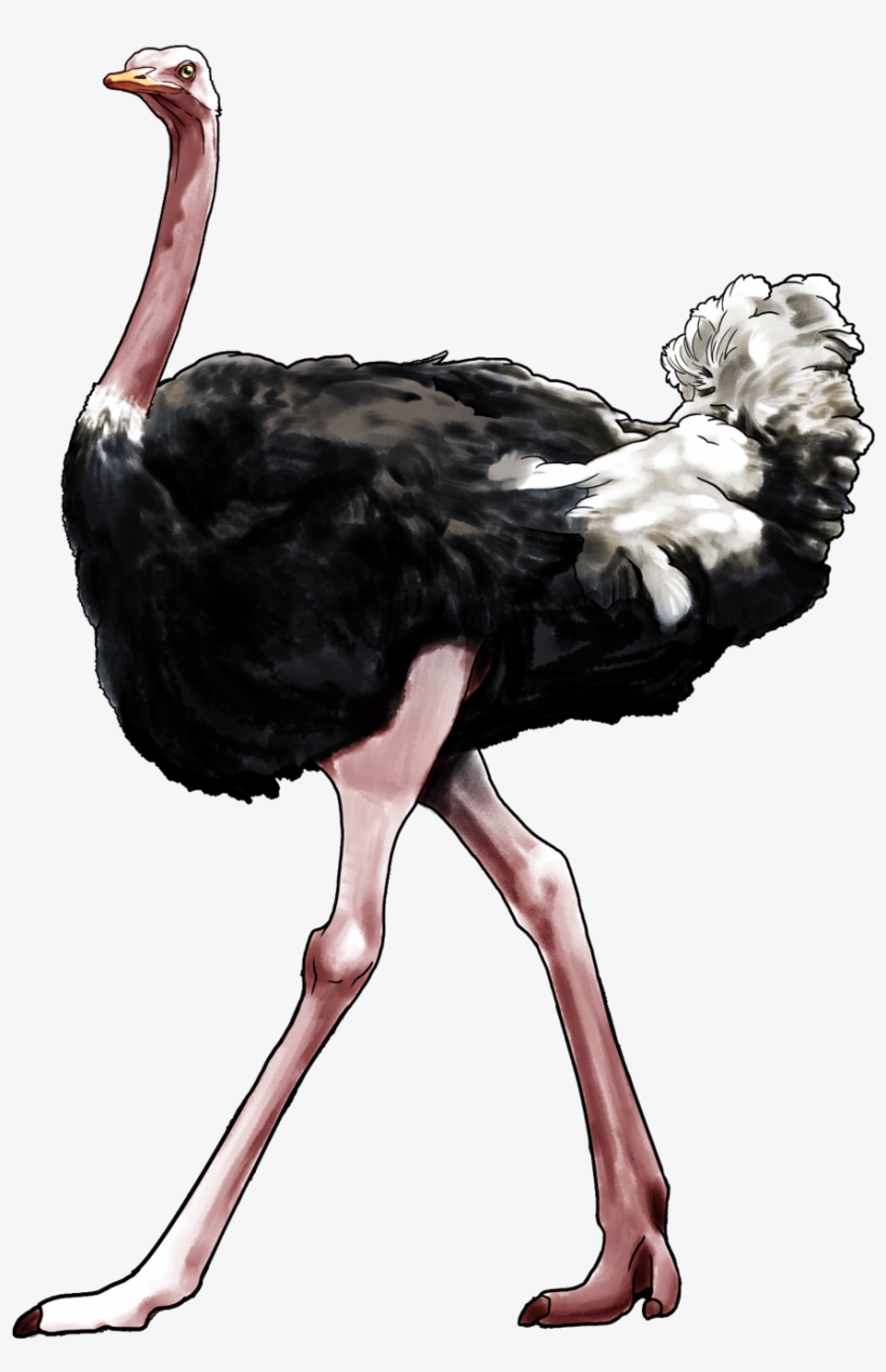 100 Philosophers 100 Artworks 100 Words - Ostrich Png, transparent png
