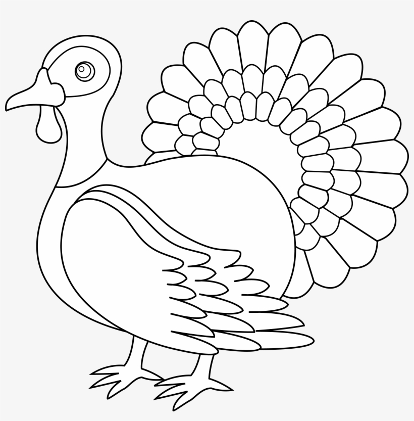 28 Collection Of Turkey Clipart Png Black And White - Wise Quotes For Birthday, transparent png