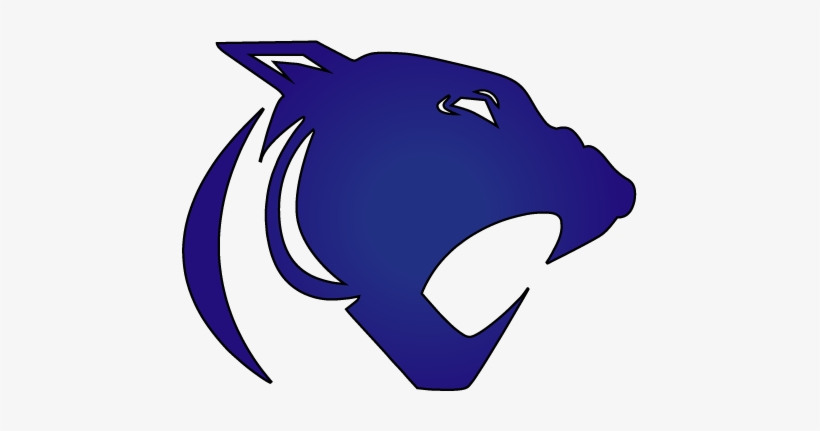 Croix Central High School Home Of The Panthers - St Croix Central High School Hammond, transparent png