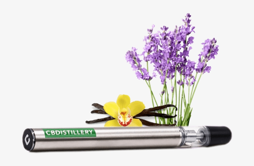 Electronic Cigarette, transparent png