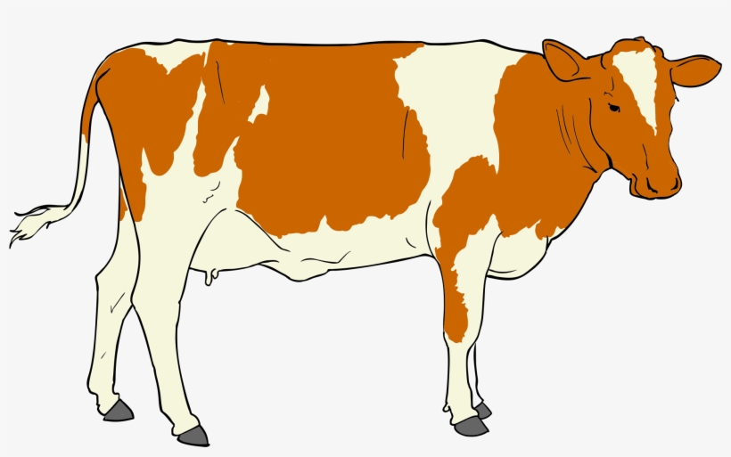 File - Clip Art Of Cow, transparent png